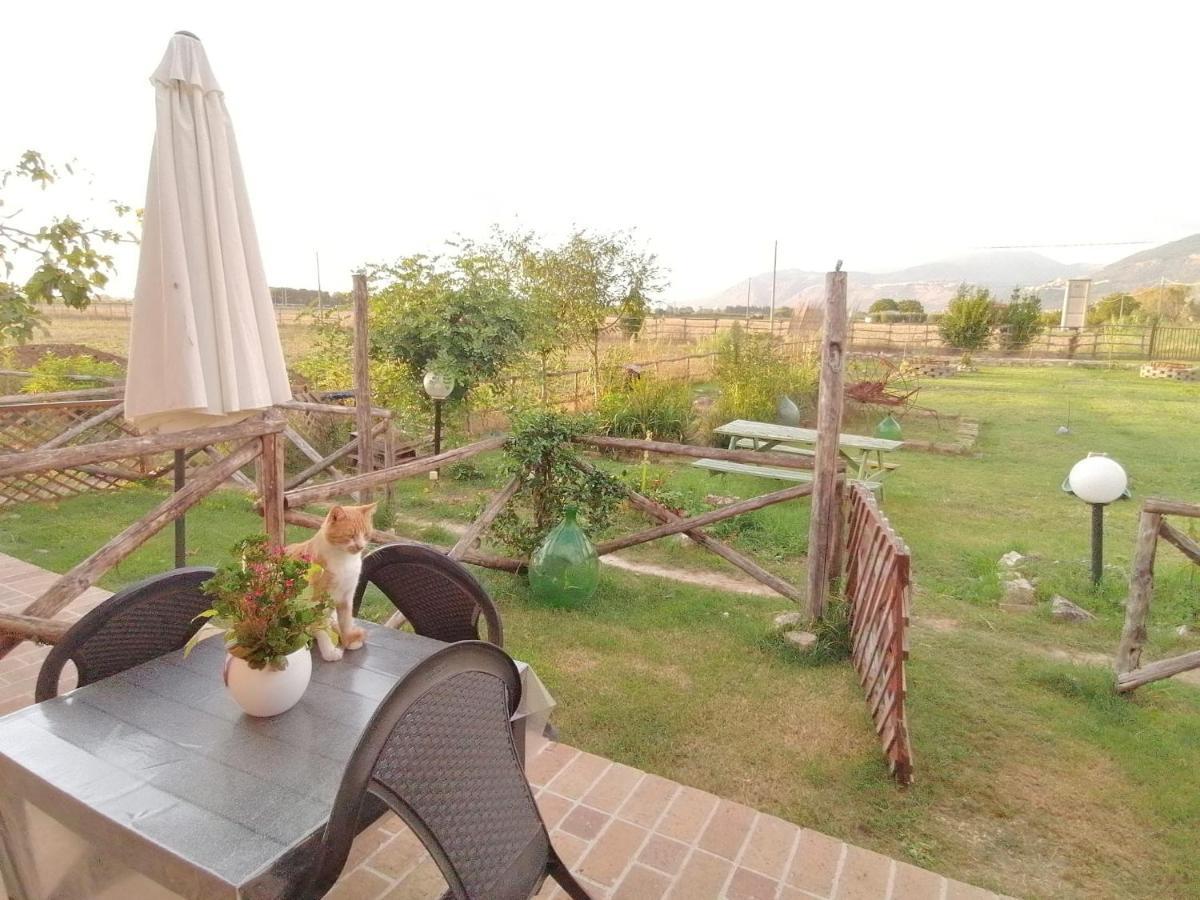 Casale Cavatella Bed & Breakfast Sermoneta Exterior photo